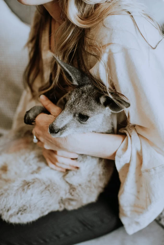 zoe-cox-counselling-with-the-kangaroo