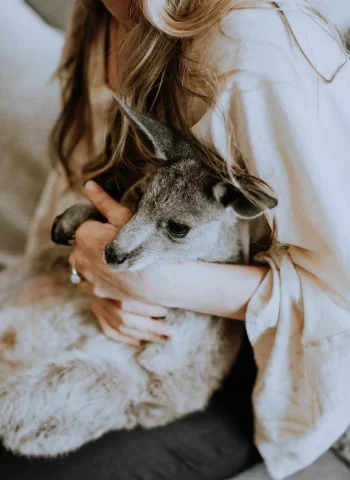 zoe-cox-counselling-with-the-kangaroo